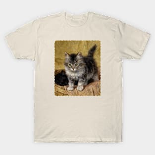 Kittens in a basket T-Shirt